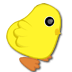 喂小鸡吃米