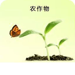 農(nóng)作物