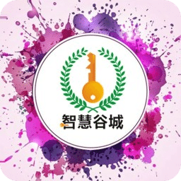 智慧谷城
