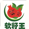 河陰石榴