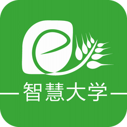 智慧大學(xué)