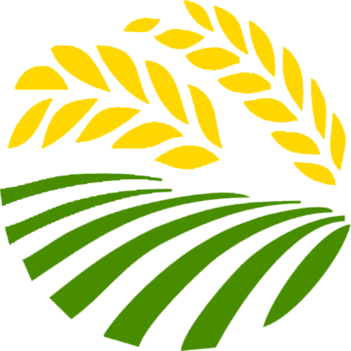 麥田計劃