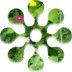 財(cái)務(wù)管理試題及答案