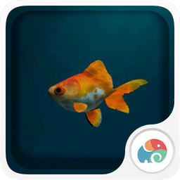 3D金鱼