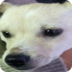生死未卜