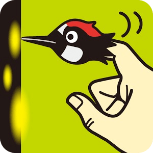 啄木鸟游戏