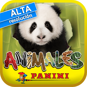 動物2013