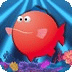發(fā)燒的魚