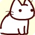 小貓捉迷藏