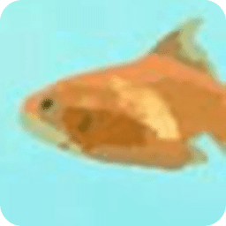 隱形動(dòng)物