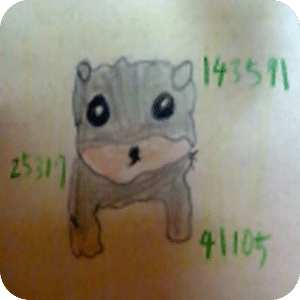 數(shù)字記憶力