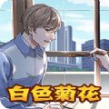 白色菊花