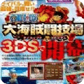 海賊 王大海賊斗技場