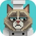 网红猫