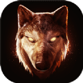 狼族The Wolf