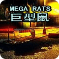 巨型鼠