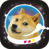 明星狗