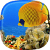 水族館 動態(tài)壁紙