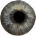 眼科诊断