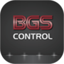 BGS公司