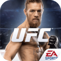 UFC终极斗士