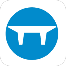 雙T板