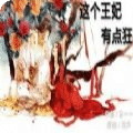 這個王妃有點狂