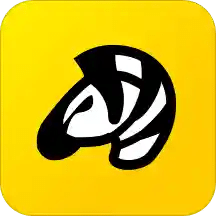 斑馬鋼琴
