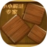 小小解谜专家