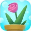花箱