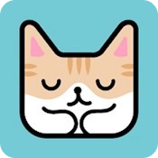 猫猫盒