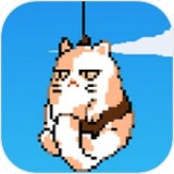 气球小猫