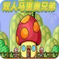双人马里奥