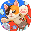 顽皮猫