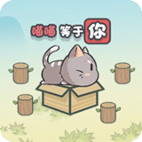這才是解謎