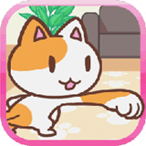 猫咪拳