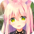 萌娘后宮