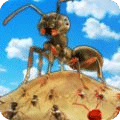 螞蟻王國(guó)狩獵與建造