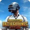 pubg龍珠版本