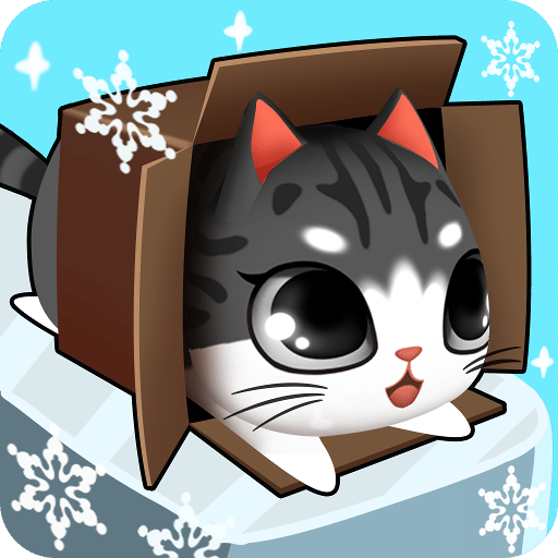 盒子里的猫