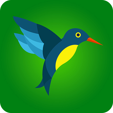 快樂鳥