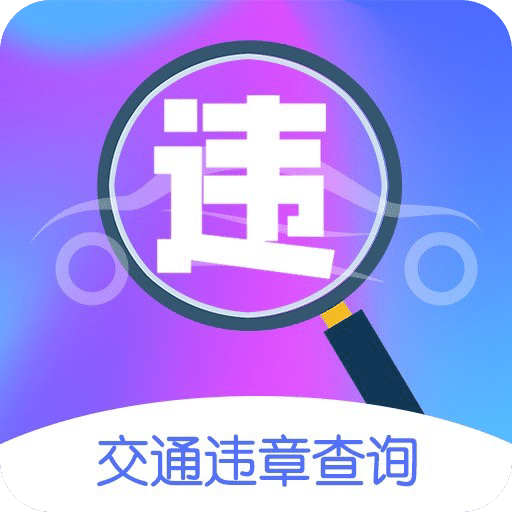 车行易违章查询
