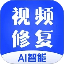 視頻修復(fù)