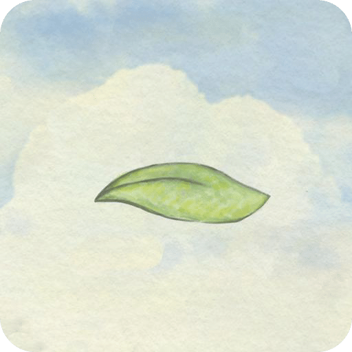 風(fēng)子