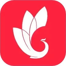 巔峰減重