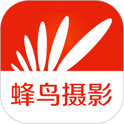 蜂鳥攝影