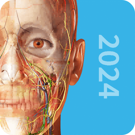 3D人體解剖