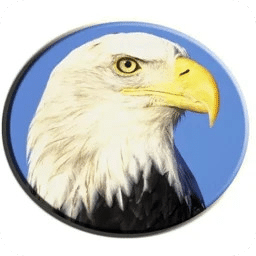 數(shù)學(xué)之翼