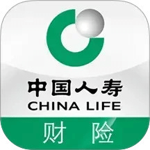 中國人壽財(cái)險(xiǎn)